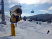 Snow reliability Baden-Württemberg – Snow reliability Feldberg – Seebuck/Grafenmatt/Fahl
