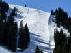 Ski resorts for advanced skiers and freeriding Ikon Pass – Advanced skiers, freeriders KitzSki – Kitzbühel/Kirchberg